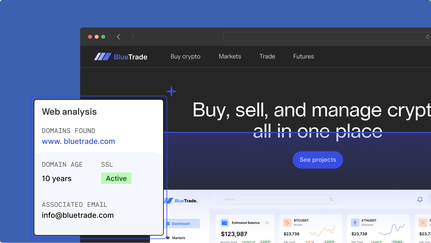 website analysis example results