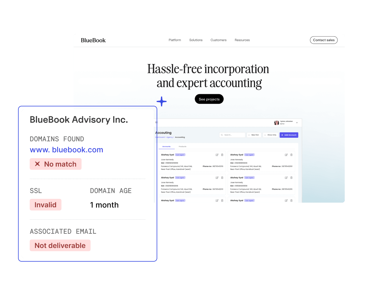 domain and website results from website analysis