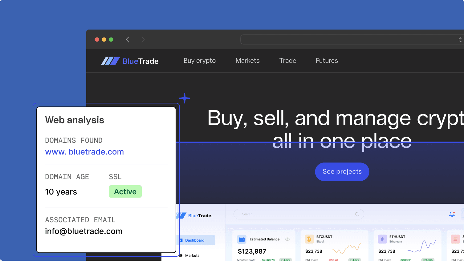 website analysis example results